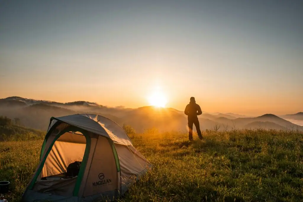 About Flylux Holiday Experts, the best travel company in Kerala offering unforgettable journeys and personalized holiday packages. Discover why we are trusted as the best travel company in Kerala for comfort, safety, and memorable experiences.
